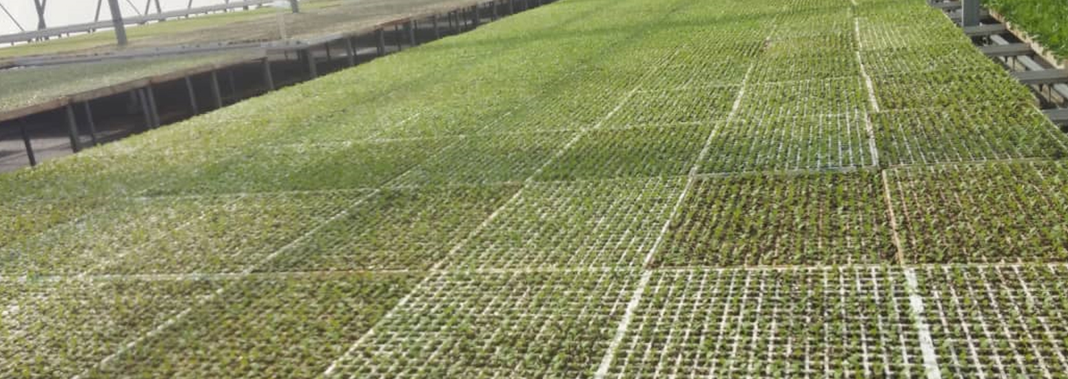 Agroécologie-Burkina